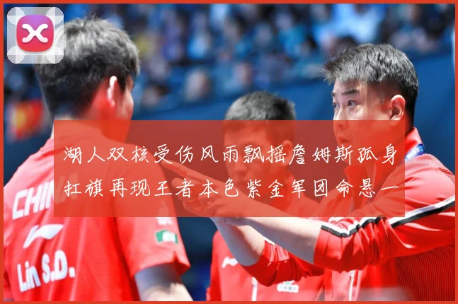 湖人双核受伤风雨飘摇詹姆斯孤身扛旗再现王者本色紫金军团命悬一赛场复盘