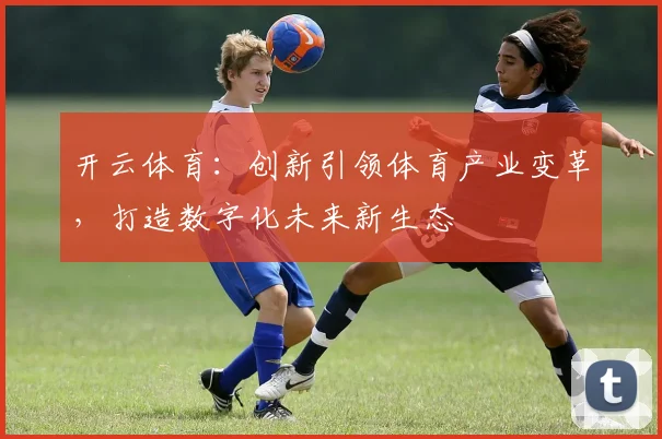 开云体育：创新引领体育产业变革，打造数字化未来新生态