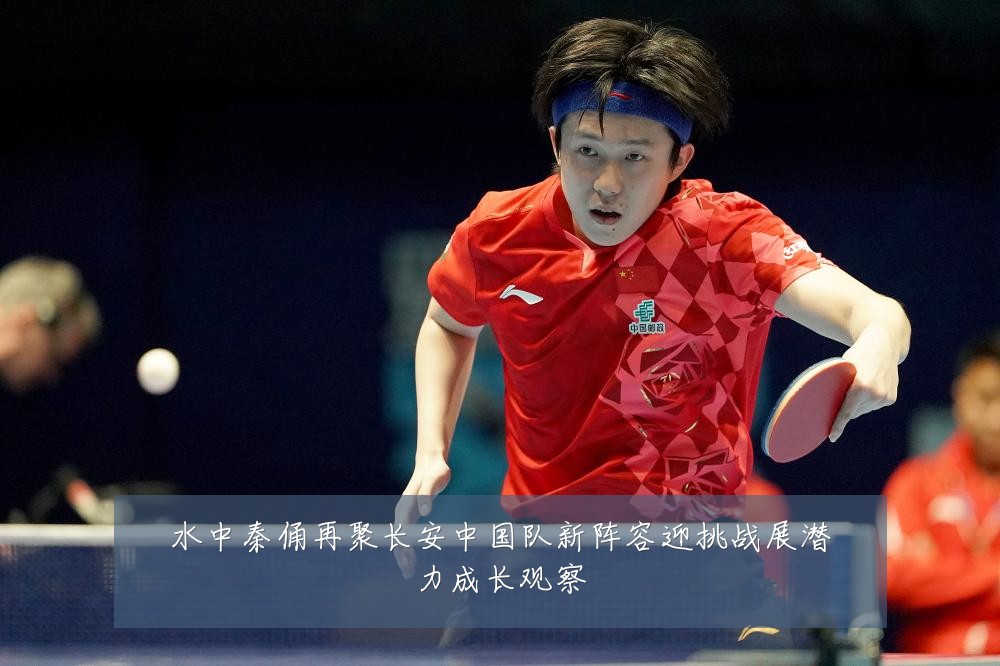 水中秦俑再聚长安中国队新阵容迎挑战展潜力成长观察