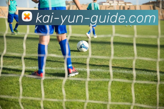 开云平台展示图