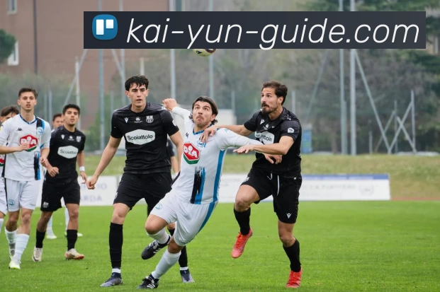 开云官网全站App